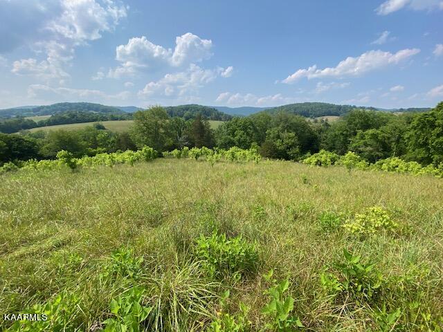 5303 Mulberry Gap Road Sneedville, TN 37869 - Photo 1 of 6 mid level
