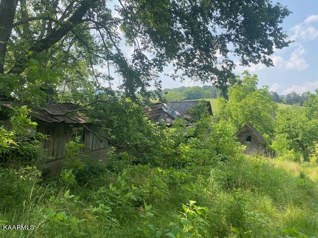 5303 Mulberry Gap Road Sneedville, TN 37869 - Photo 2 of 6 3 old structures