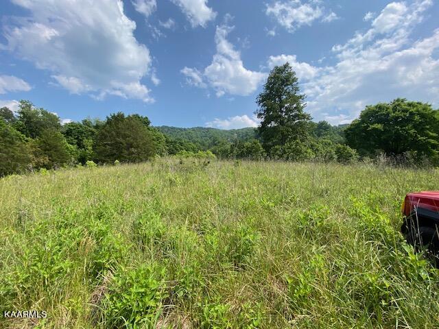 5303 Mulberry Gap Road Sneedville, TN 37869 - Photo 3 of 6 mid level-