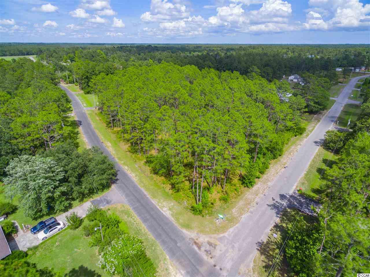 Tbd Pine Level Drive Loris, SC 29569 - Photo 1 of 8