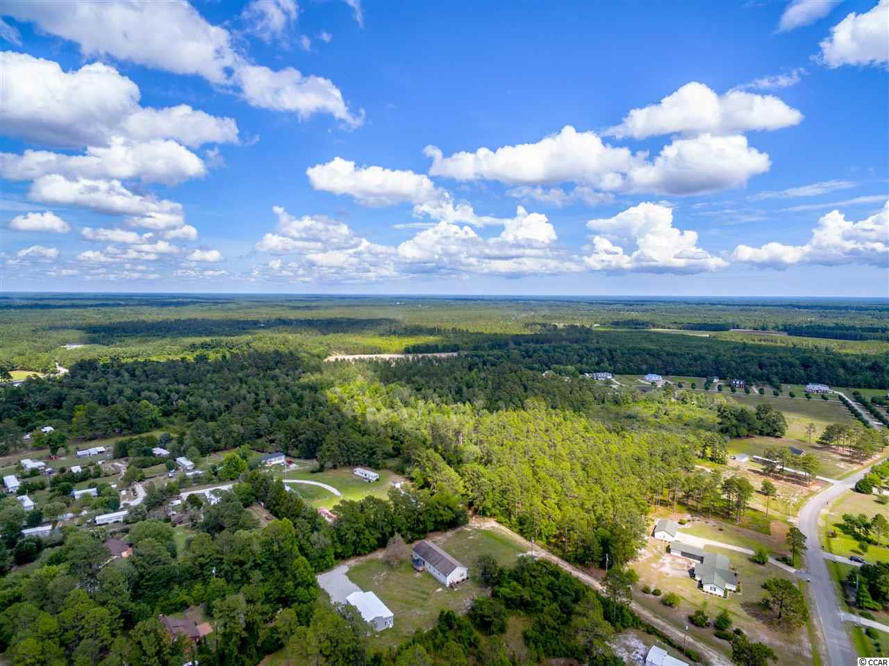 Tbd Pine Level Drive Loris, SC 29569 - Photo 2 of 8