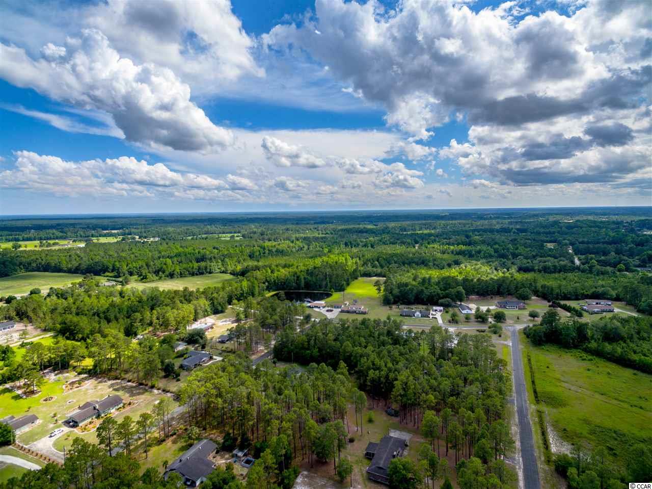 Tbd Pine Level Drive Loris, SC 29569 - Photo 3 of 8