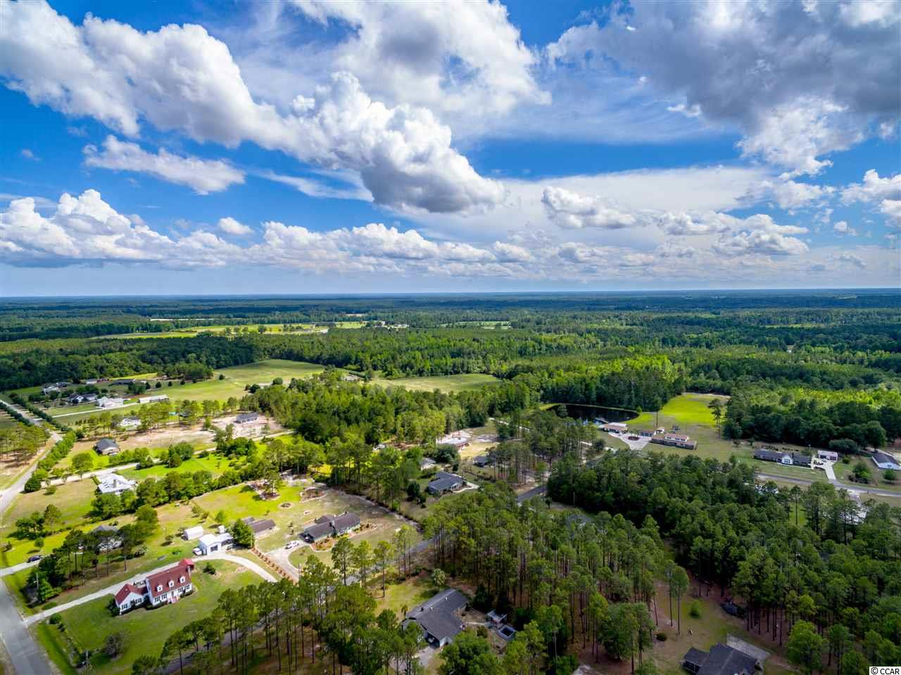 Tbd Pine Level Drive Loris, SC 29569 - Photo 4 of 8