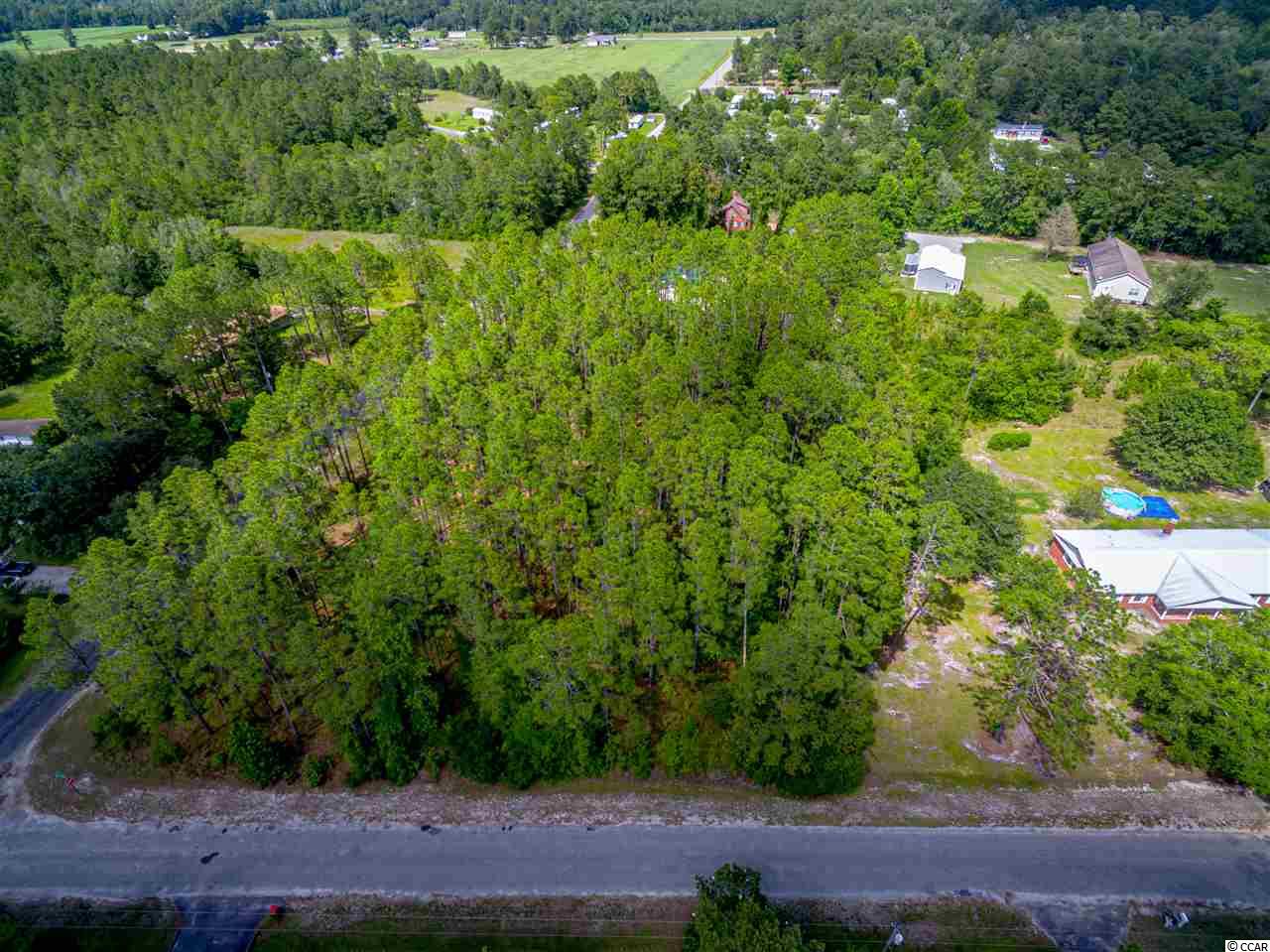 Tbd Pine Level Drive Loris, SC 29569 - Photo 6 of 8