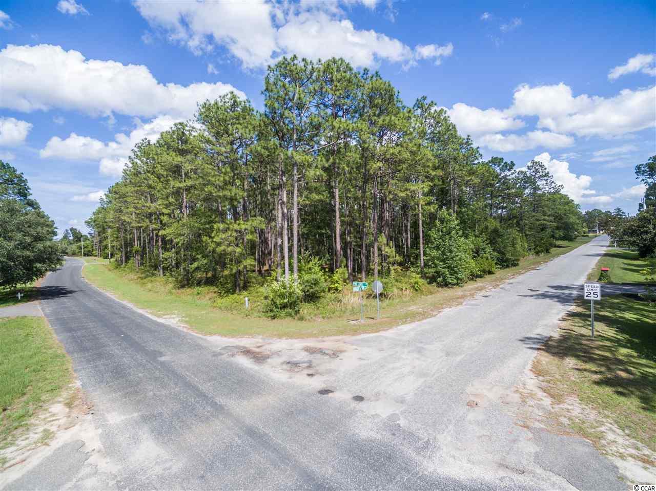 Tbd Pine Level Drive Loris, SC 29569 - Photo 7 of 8