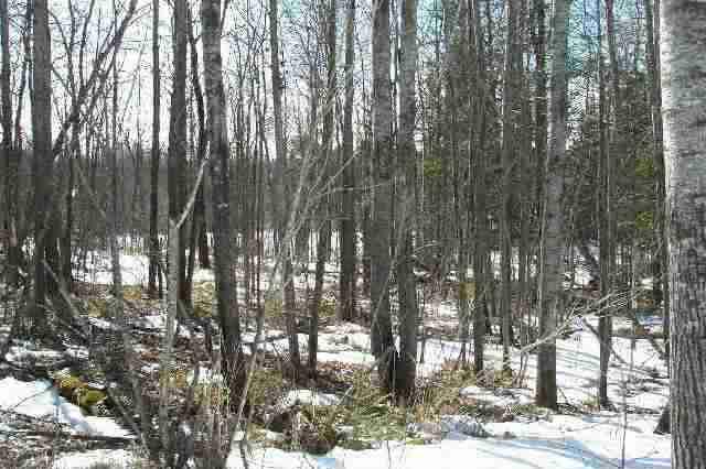 Xxx West Leavitt Road Northeast Outing, MN 56662 - Photo 1 of 1 Gallery Image 1