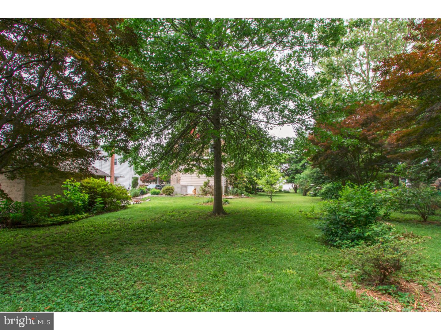 246 West Ridley Avenue Ridley Park, PA 19078 - Photo 6 of 25 Back Yard