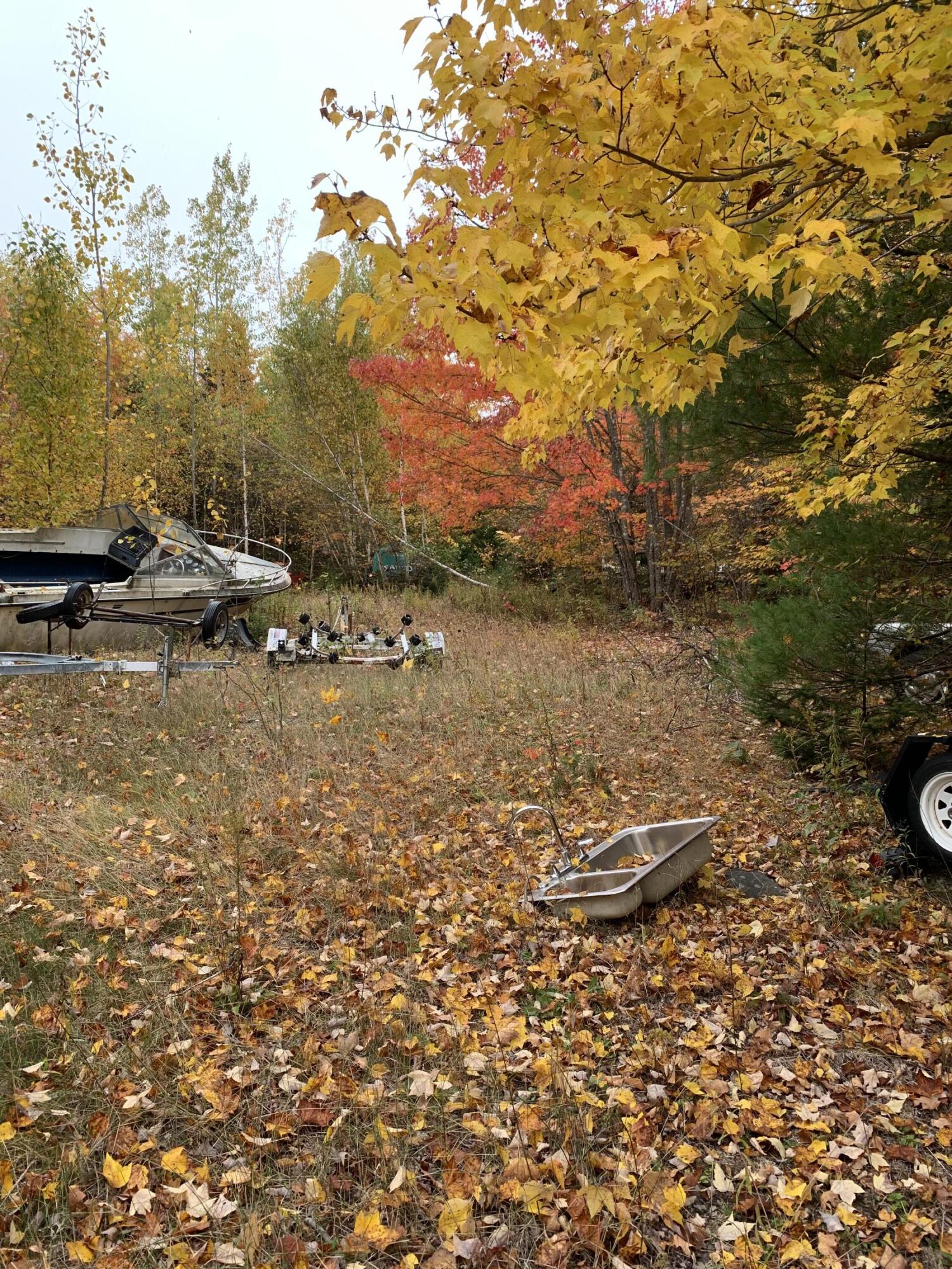 0 Berry Pit Road Hudson, ME 04449 - Photo 13 of 27 E7F43104-1227-402D-B364-D59129CAC22A