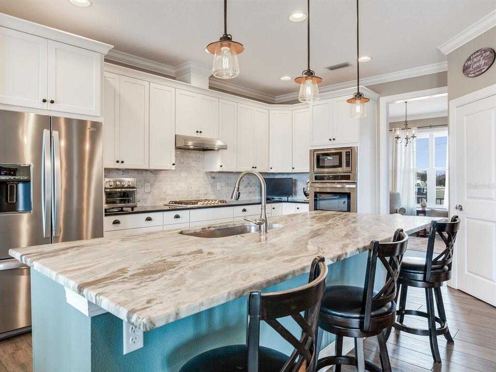 15721 Colding Loop Wimauma, FL 33598 - Photo 17 of 66