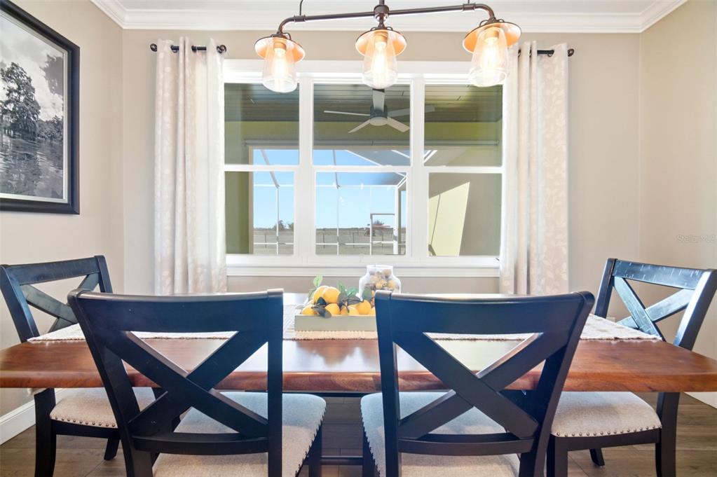 15721 Colding Loop Wimauma, FL 33598 - Photo 20 of 66