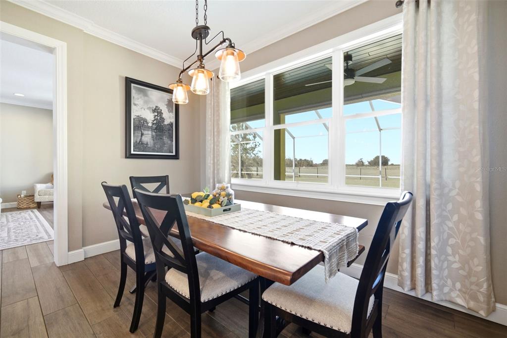 15721 Colding Loop Wimauma, FL 33598 - Photo 21 of 66