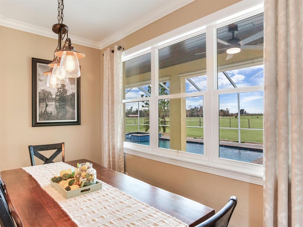 15721 Colding Loop Wimauma, FL 33598 - Photo 23 of 66