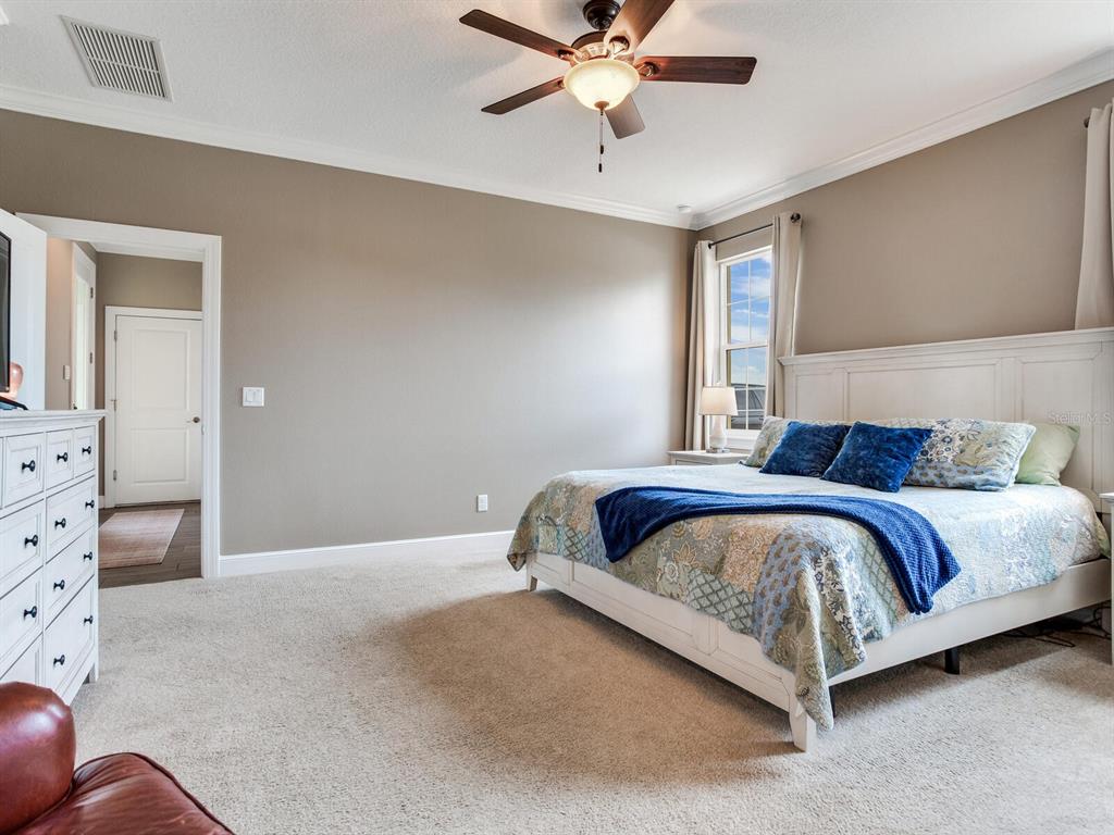 15721 Colding Loop Wimauma, FL 33598 - Photo 28 of 66