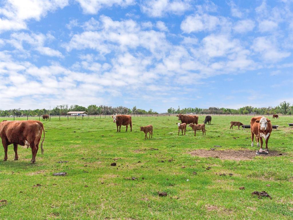 15721 Colding Loop Wimauma, FL 33598 - Photo 55 of 66