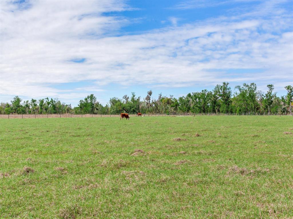 15721 Colding Loop Wimauma, FL 33598 - Photo 56 of 66