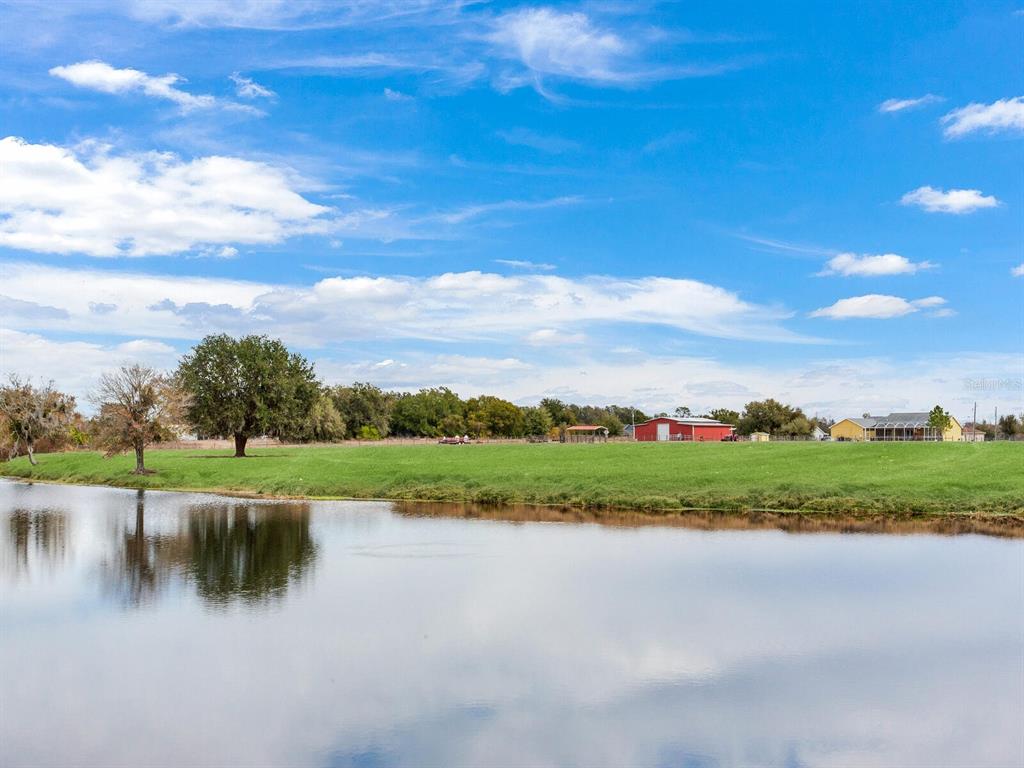 15721 Colding Loop Wimauma, FL 33598 - Photo 57 of 66