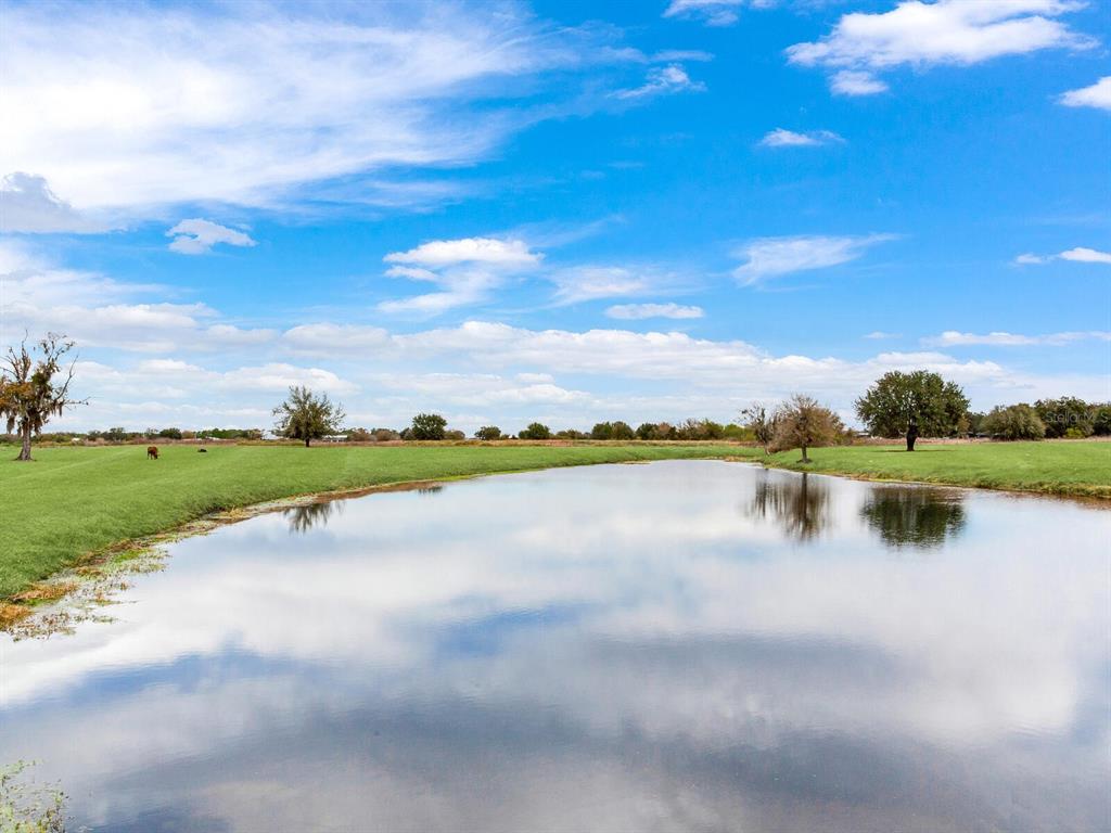 15721 Colding Loop Wimauma, FL 33598 - Photo 58 of 66