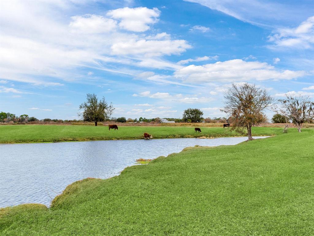 15721 Colding Loop Wimauma, FL 33598 - Photo 59 of 66