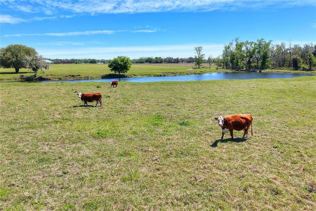 15721 Colding Loop Wimauma, FL 33598 - Photo 60 of 66