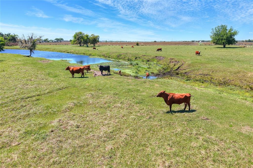 15721 Colding Loop Wimauma, FL 33598 - Photo 61 of 66