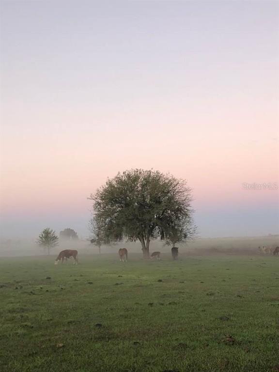 15721 Colding Loop Wimauma, FL 33598 - Photo 62 of 66