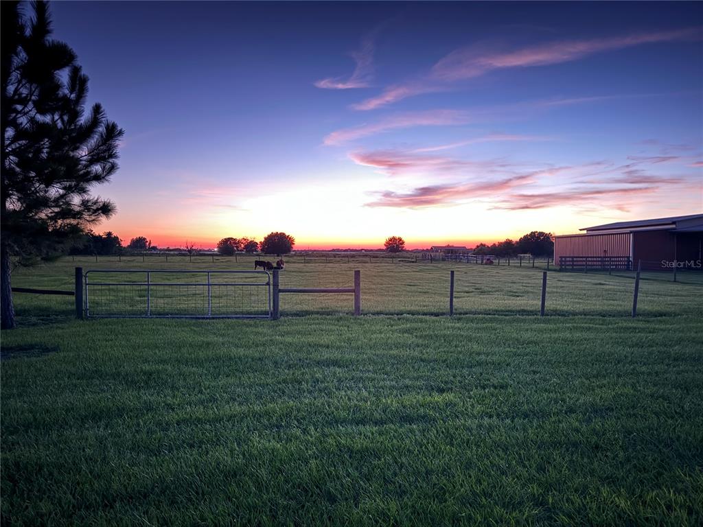 15721 Colding Loop Wimauma, FL 33598 - Photo 63 of 66