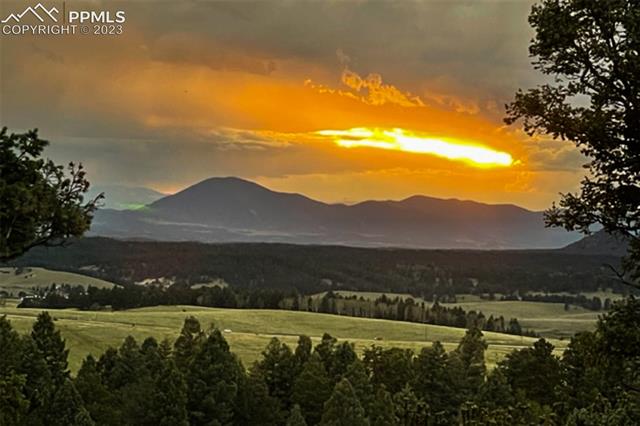 11155 Elk Ridge South Divide, CO 80814 - Photo 2 of 38