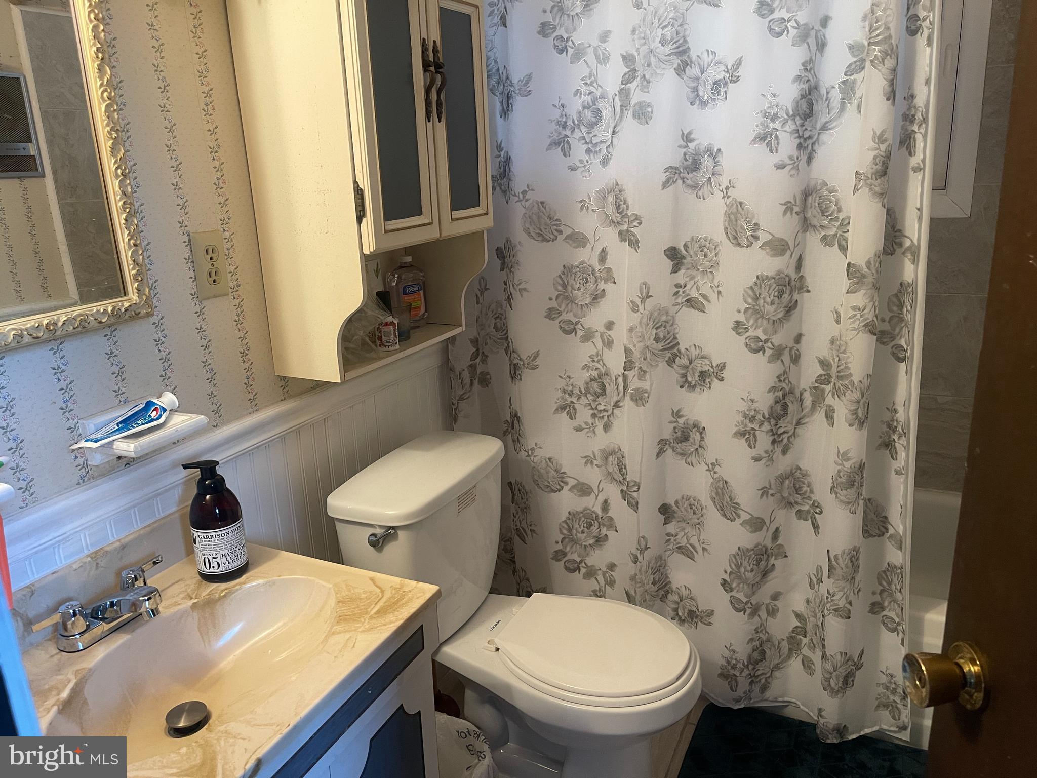272 North Glebe Road Montross, VA 22520 - Photo 11 of 20 a bathroom with a sink a toilet and a mirror
