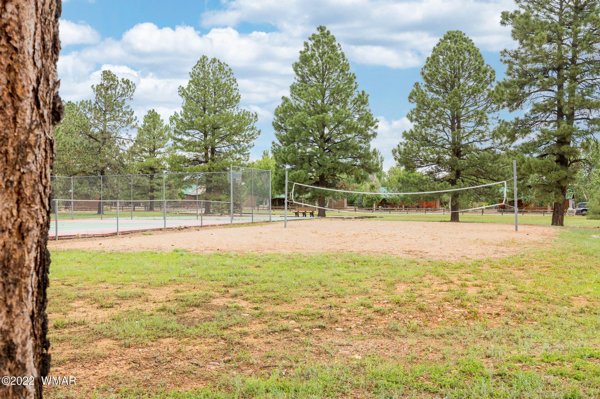 2640 Lodge Loop Overgaard, AZ 85933 - Photo 18 of 39 Gallery Image 18
