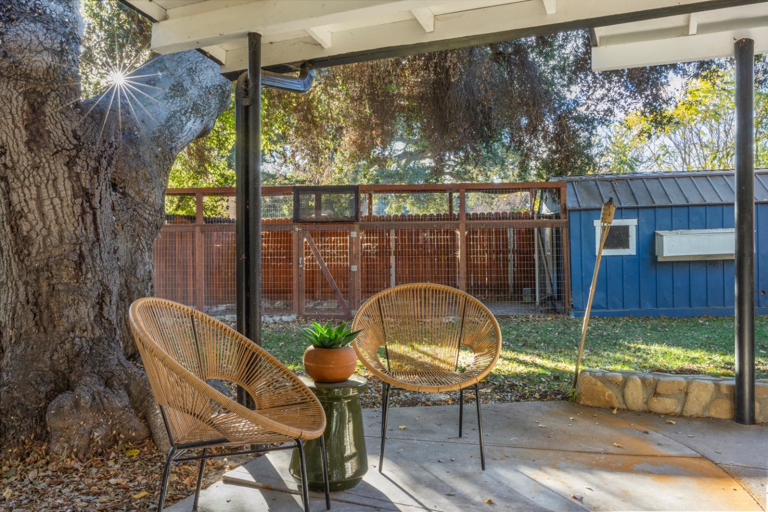 385 Burnham Road Oak View, CA 93022 - Photo 9 of 25 a backyard of a house with table and chairs