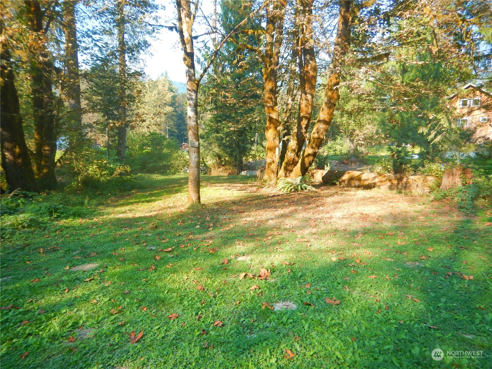 51614 South Riverside Road Gold Bar, WA 98251 - Photo 13 of 37