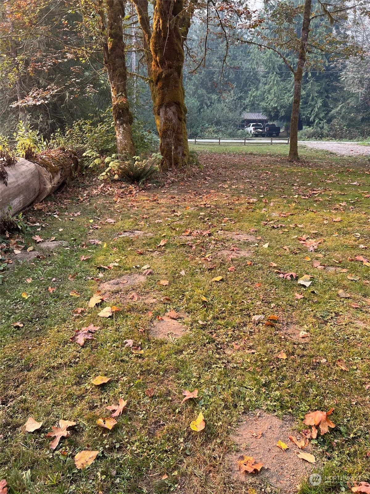51614 South Riverside Road Gold Bar, WA 98251 - Photo 26 of 37 a view of a yard with a tree