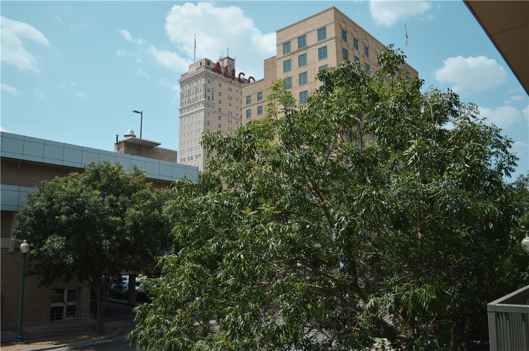330 Austin Avenue, Unit 216 Waco, TX 76701 - Photo 4 of 9