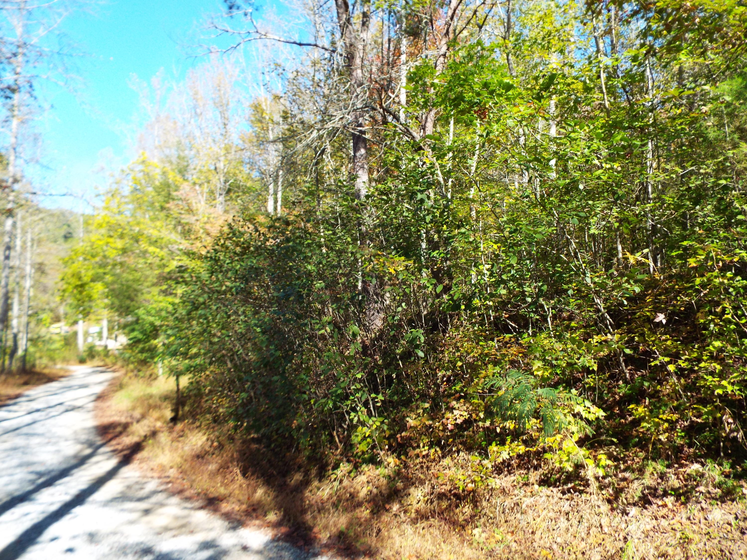 086 Otto Williams Road Cosby, TN 37722 - Photo 2 of 29 DSCF8675