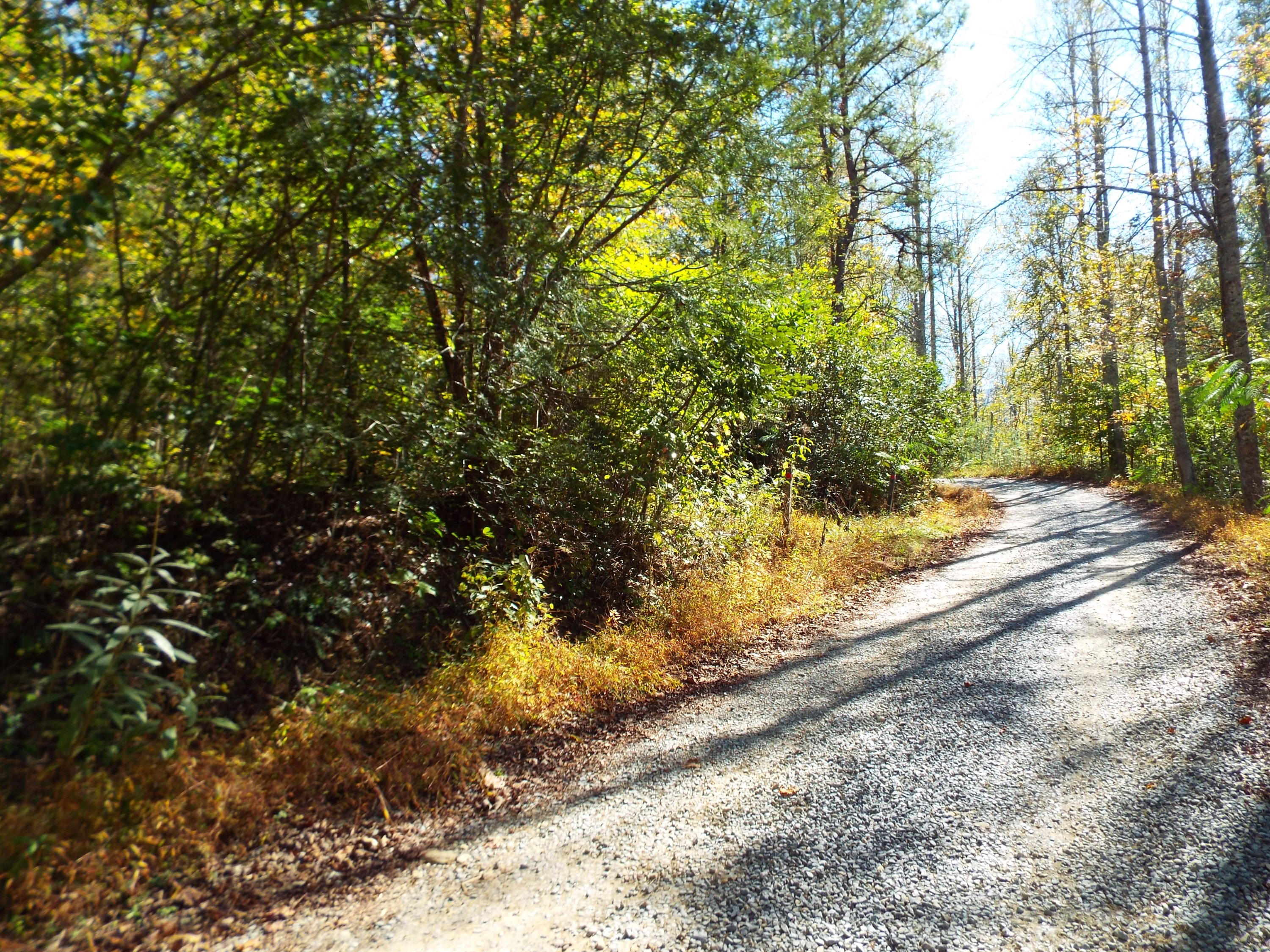 086 Otto Williams Road Cosby, TN 37722 - Photo 28 of 29 DSCF8701