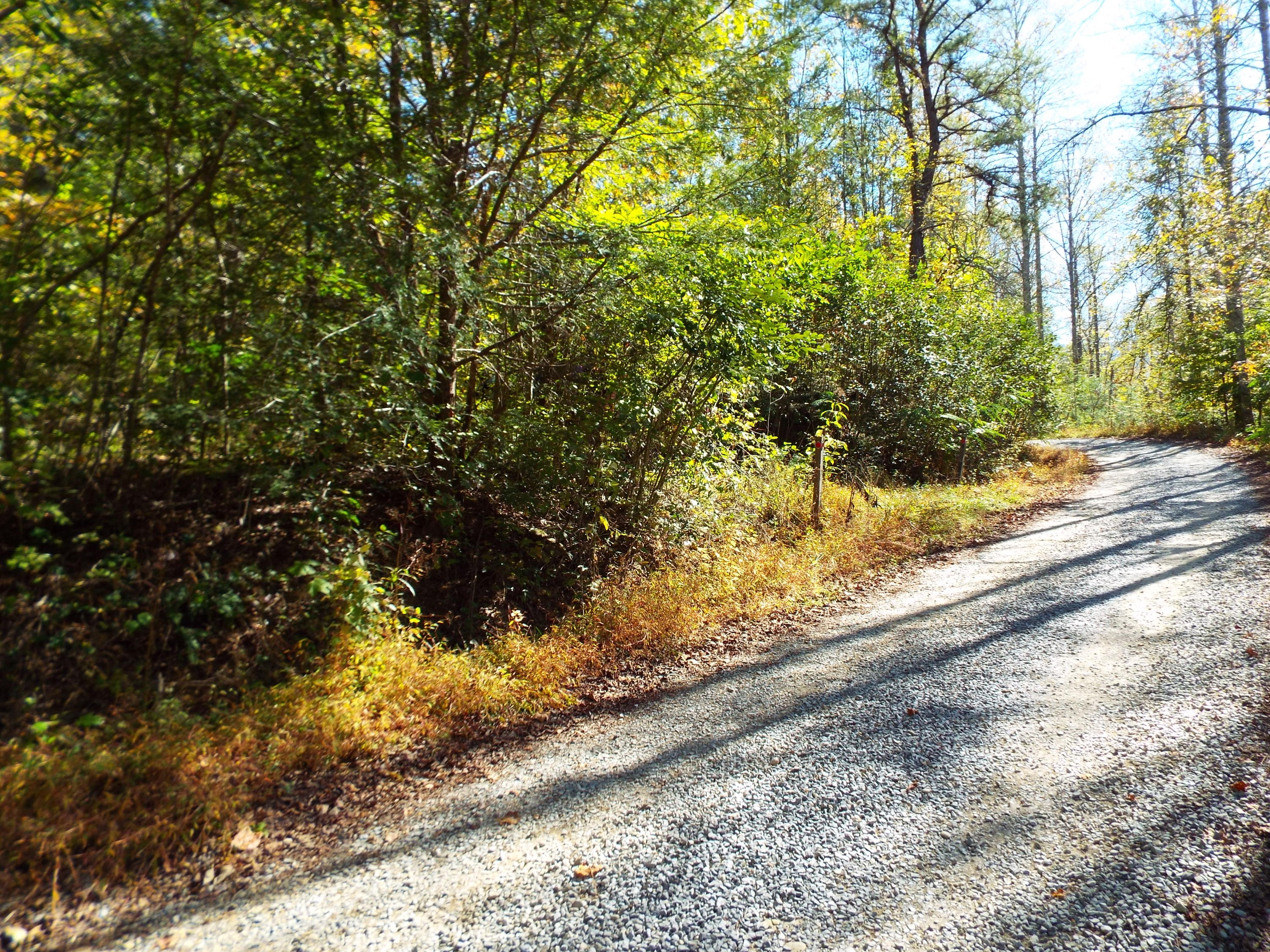 086 Otto Williams Road Cosby, TN 37722 - Photo 29 of 29 DSCF8702