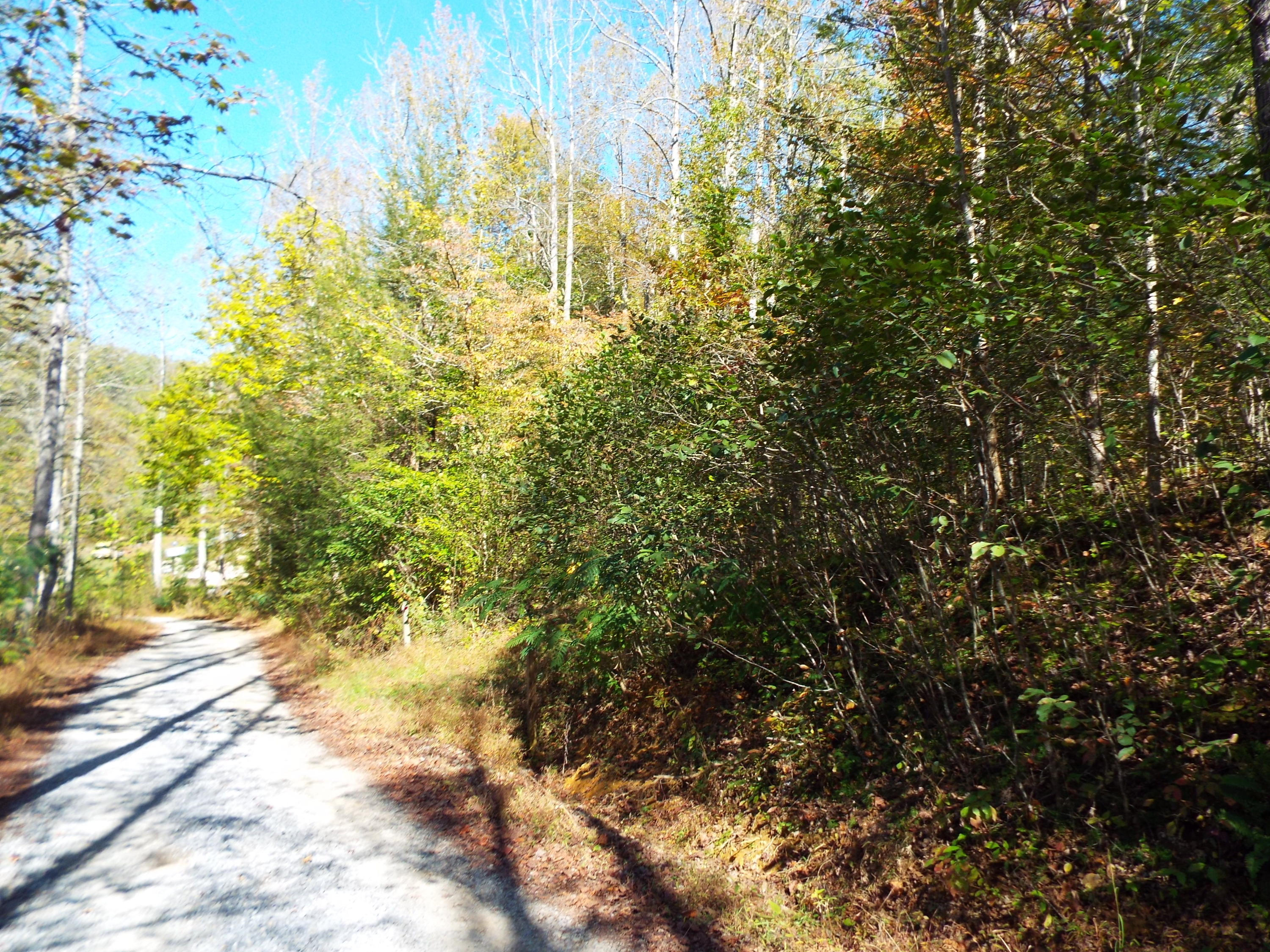 086 Otto Williams Road Cosby, TN 37722 - Photo 4 of 29 DSCF8677