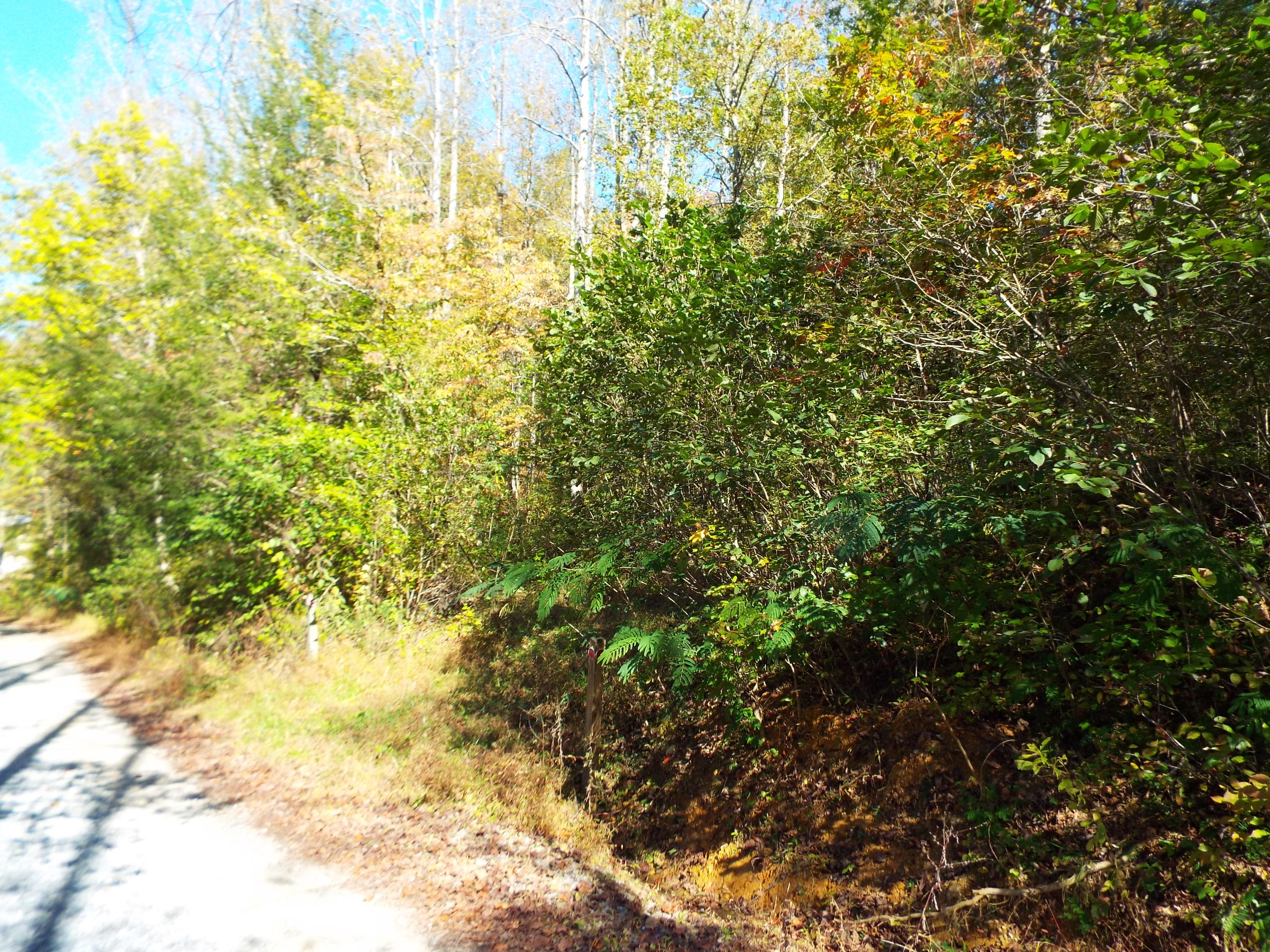 086 Otto Williams Road Cosby, TN 37722 - Photo 5 of 29 DSCF8678