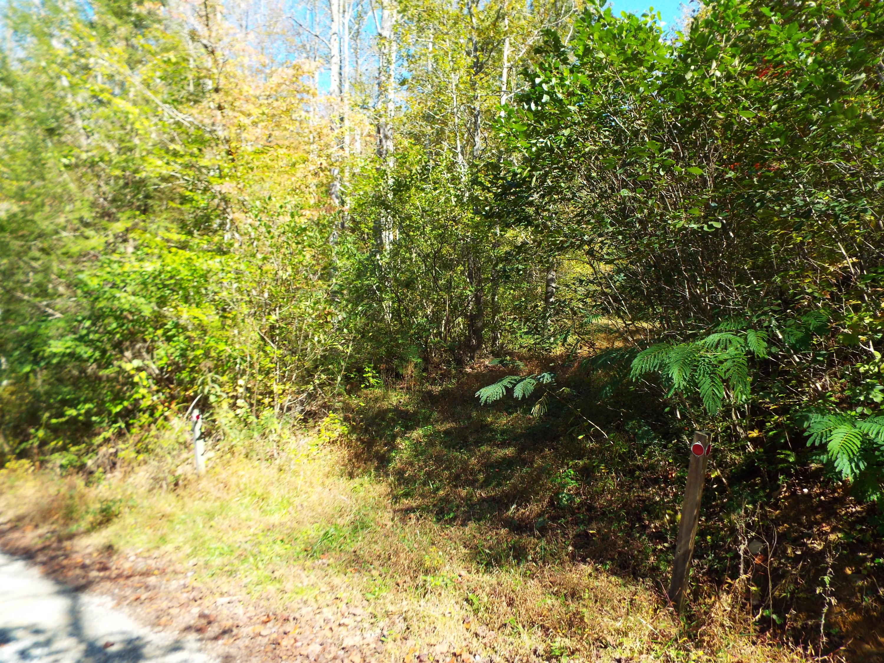 086 Otto Williams Road Cosby, TN 37722 - Photo 6 of 29 DSCF8679