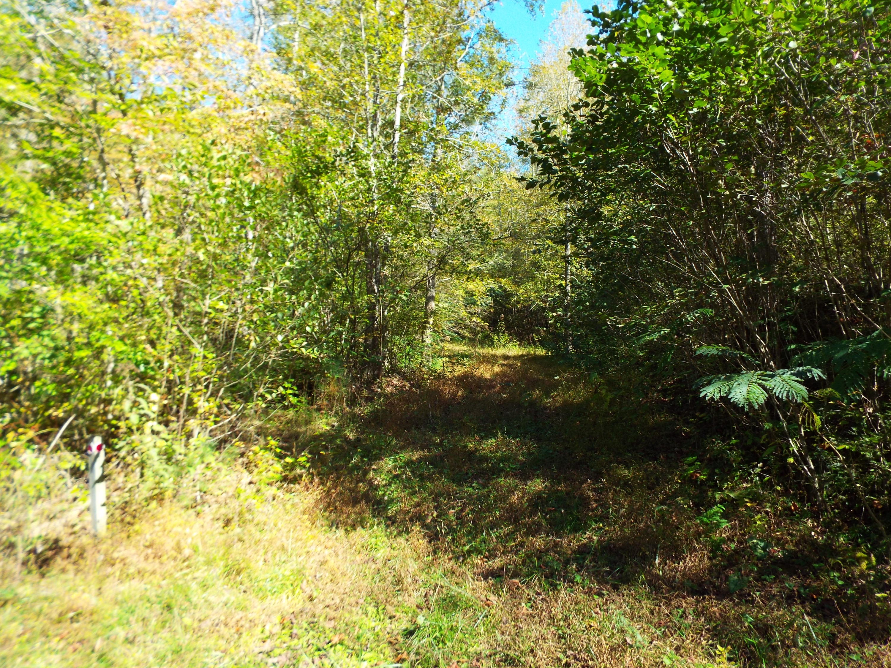 086 Otto Williams Road Cosby, TN 37722 - Photo 7 of 29 DSCF8680