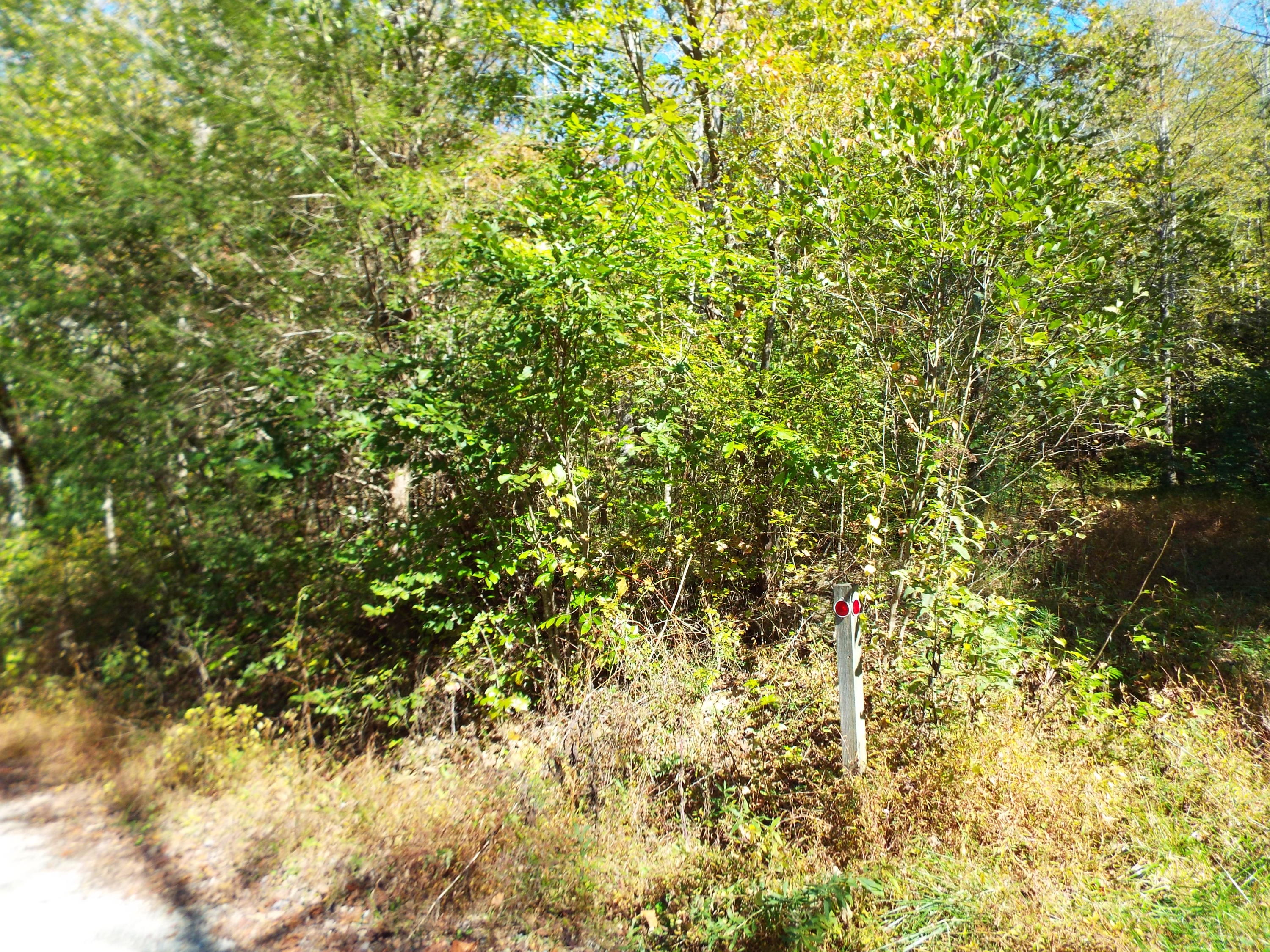 086 Otto Williams Road Cosby, TN 37722 - Photo 8 of 29 DSCF8681