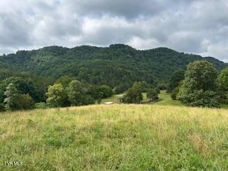 0 Trent Valley Road Sneedville, TN 37869 - Photo 2 of 14 pic13