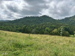 0 Trent Valley Road Sneedville, TN 37869 - Photo 3 of 14 pic12