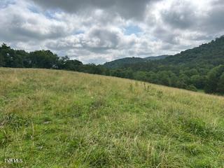 0 Trent Valley Road Sneedville, TN 37869 - Photo 4 of 14 pic11