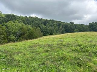 0 Trent Valley Road Sneedville, TN 37869 - Photo 6 of 14 pic9