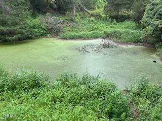 0 Trent Valley Road Sneedville, TN 37869 - Photo 10 of 14 pic5