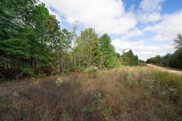 $49,000 | Lot 11 Marie Vann Road, Waynesboro, GA 30830