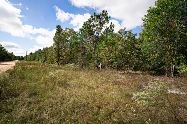 $49,000 | Lot 11 Marie Vann Road, Waynesboro, GA 30830