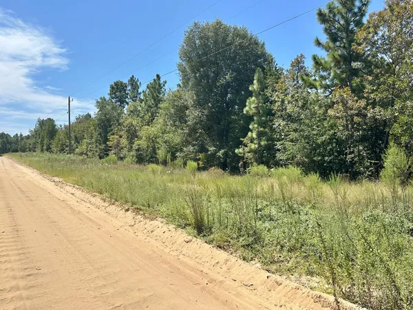 $49,000 | Lot 11 Marie Vann Road, Waynesboro, GA 30830