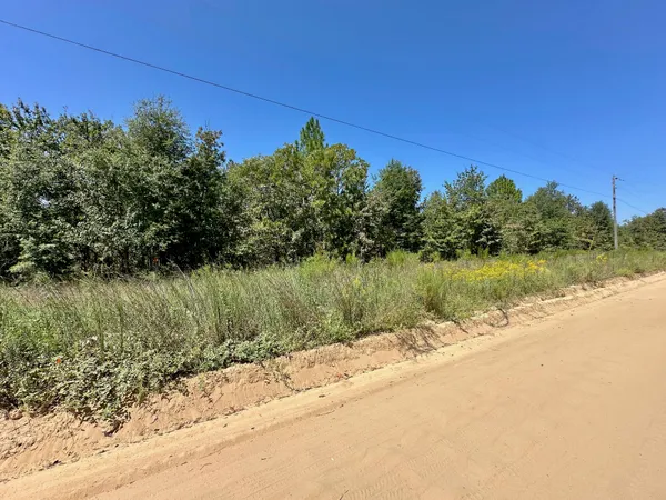 $49,000 | Lot 11 Marie Vann Road, Waynesboro, GA 30830